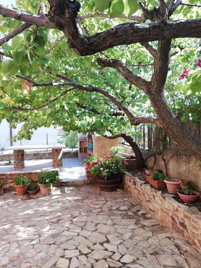 Villa Le Ginestre La Caletta Eksteriør bilde
